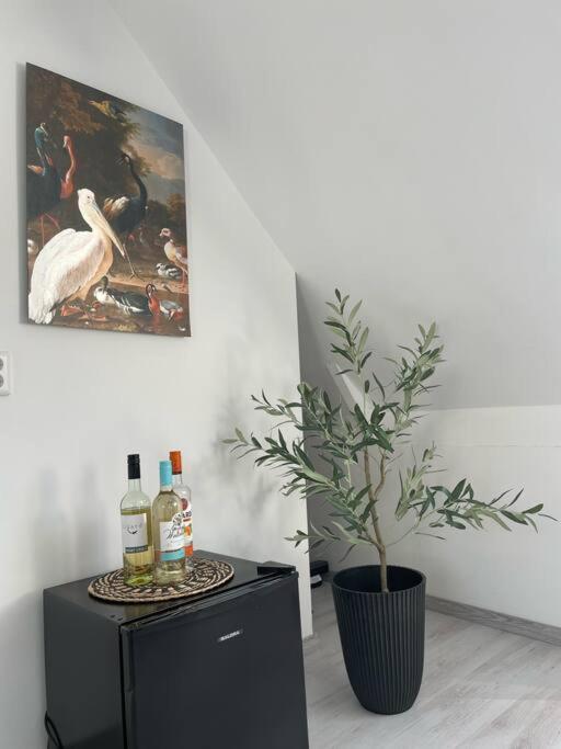Appartement In Centrum Alkmaar Zewnętrze zdjęcie
